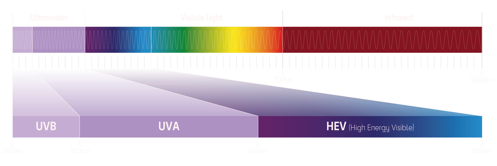 Photoprotection - Light Skin Science