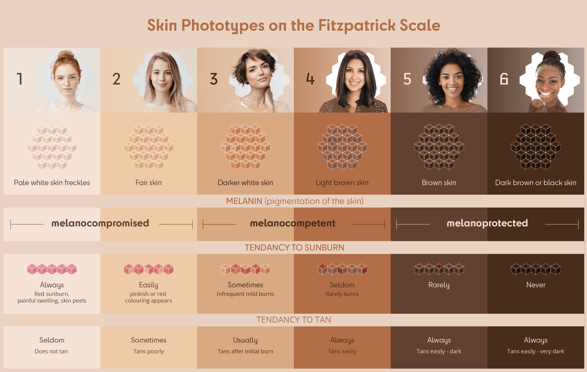 Tipos De Pele Fitzpatrick - LIBRAIN